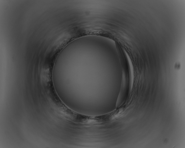 X0000091540224200708241741