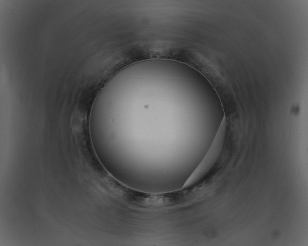 X0000091540225200708241741