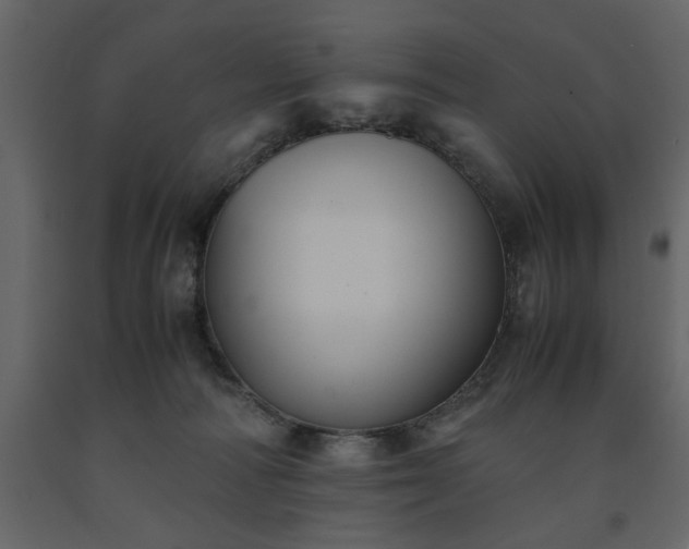 X0000091540226200708241741