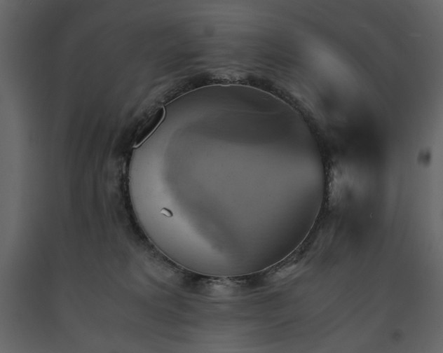X0000091540229200708241741