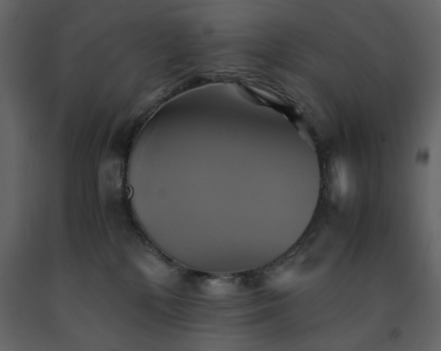 X0000091540232200708241741
