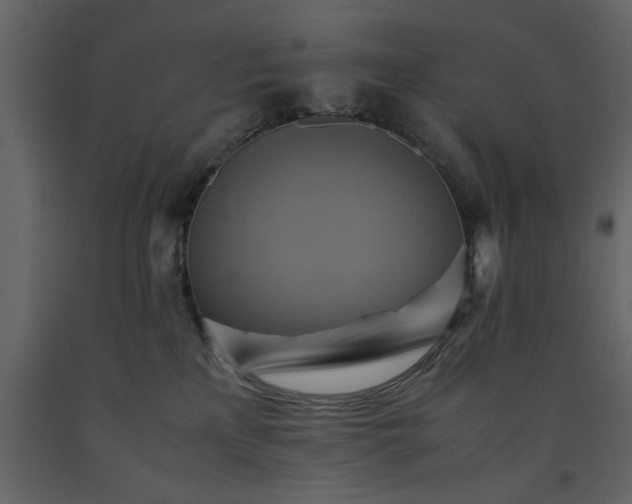 X0000091540233200708241741