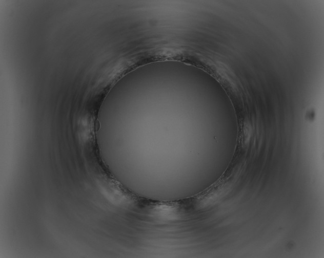 X0000091540236200708241741