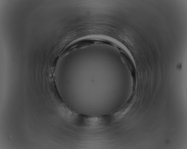 X0000091540237200708241741