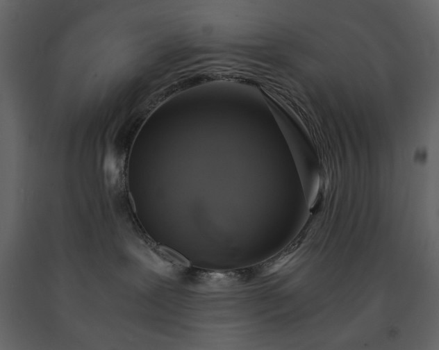 X0000091540239200708241741