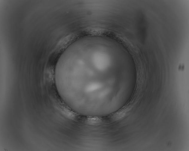 X0000091540240200708241741