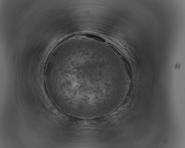 X0000091540241200708241740