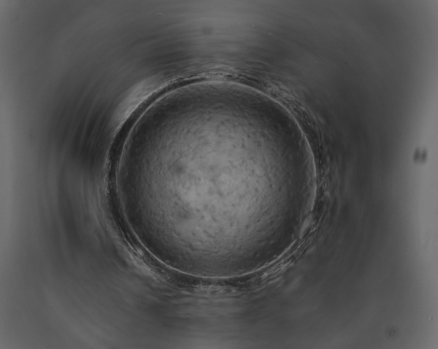 X0000091540242200708241740