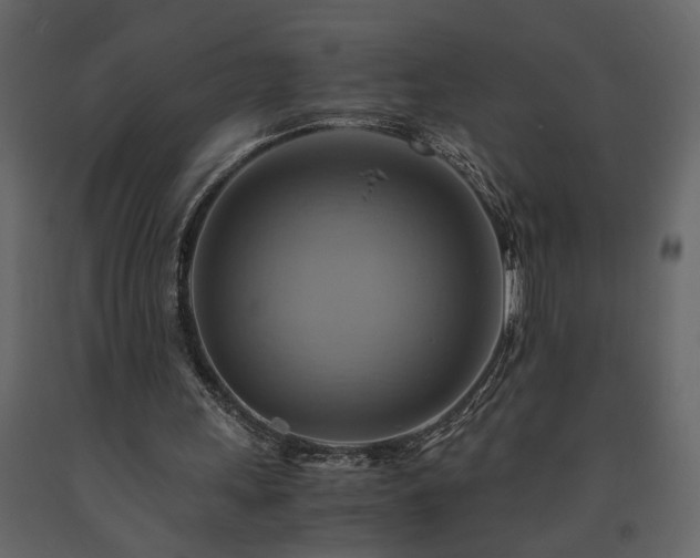 X0000091540243200708241740