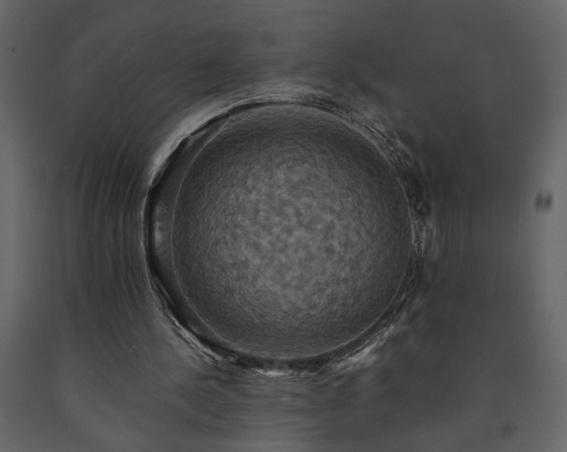 X0000091540244200708241740
