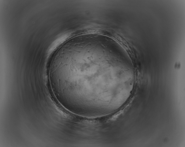 X0000091540245200708241740