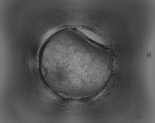 X0000091540246200708241740