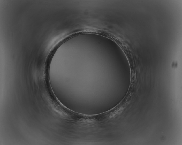 X0000091540247200708241740