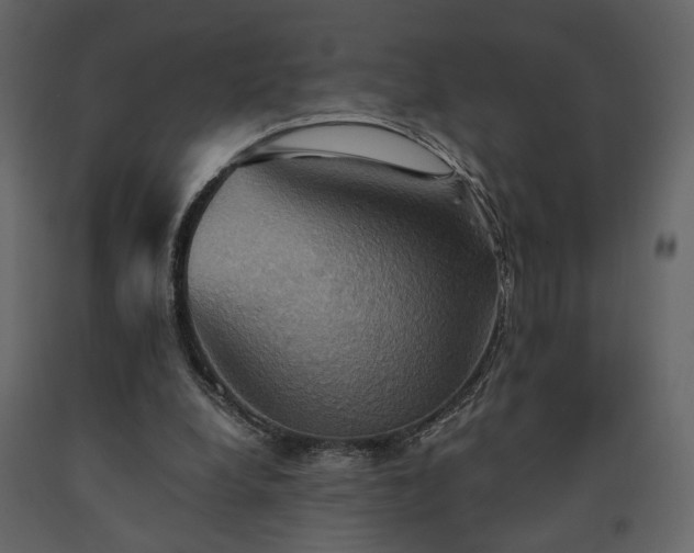 X0000091540248200708241740