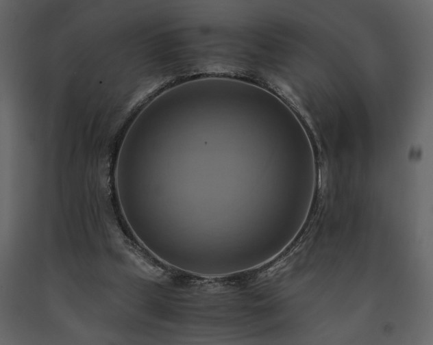 X0000091540249200708241740