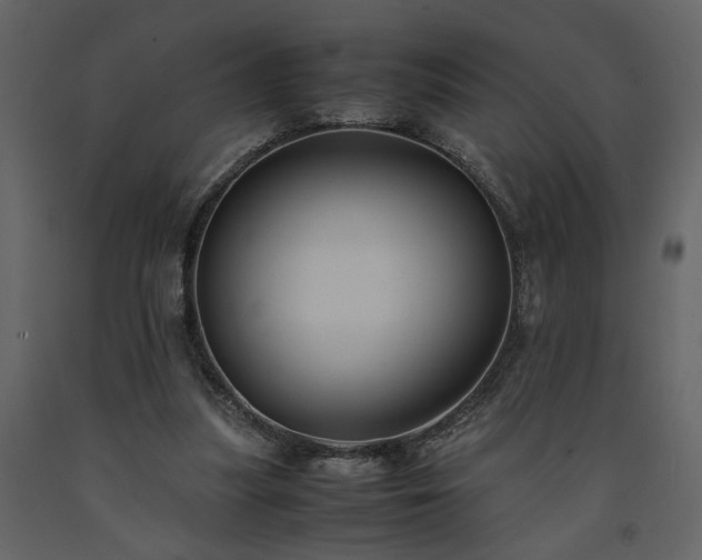 X0000091540251200708241740