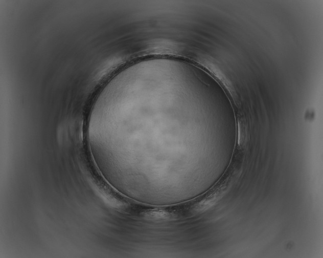 X0000091540253200708241740