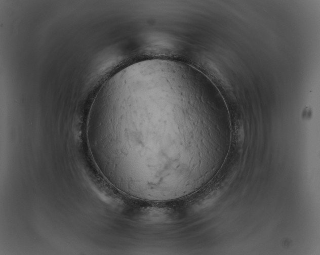 X0000091540255200708241740