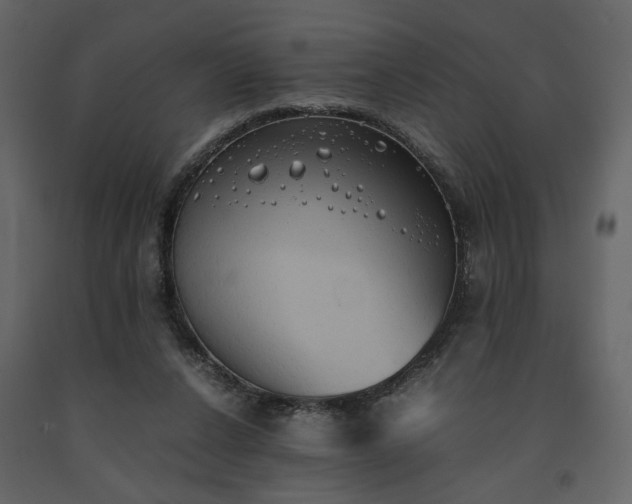 X0000091540256200708241740