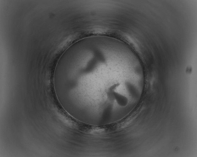 X0000091540257200708241740