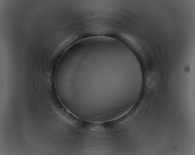 X0000091540258200708241740