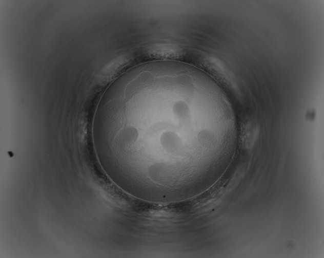 X0000091540259200708241740