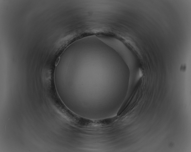 X0000091540260200708241740