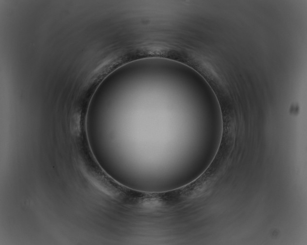 X0000091540262200708241740