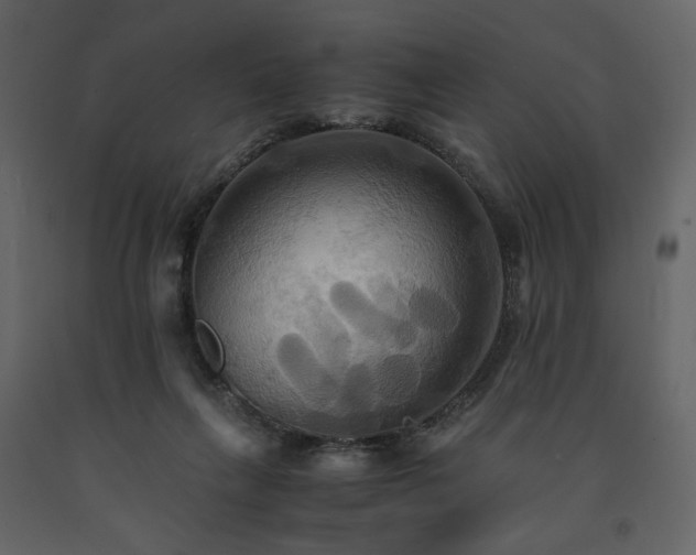 X0000091540263200708241740
