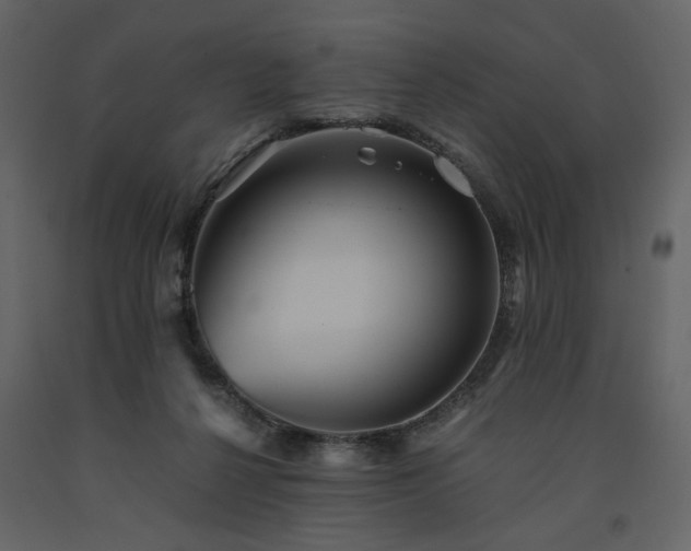 X0000091540264200708241740