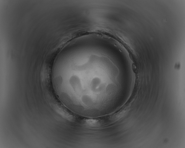 X0000091540265200708241740