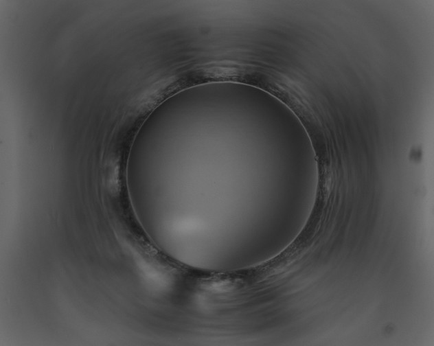 X0000091540267200708241740