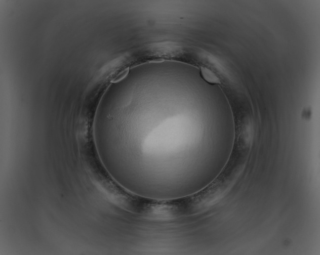 X0000091540268200708241740