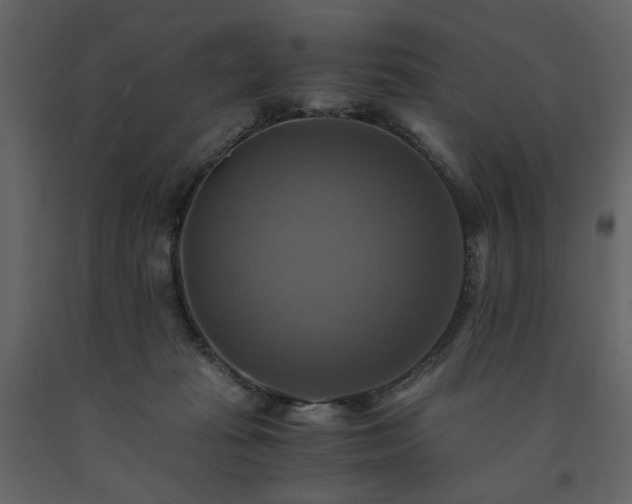 X0000091540269200708241740