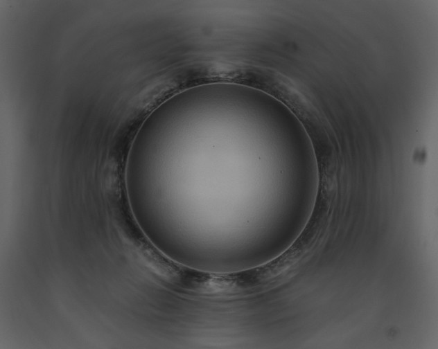 X0000091540270200708241740