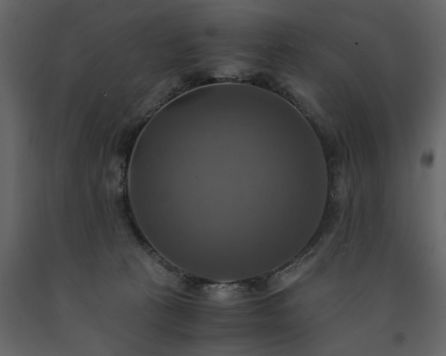 X0000091540273200708241740