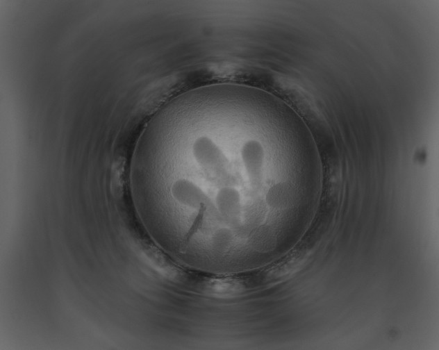 X0000091540275200708241740