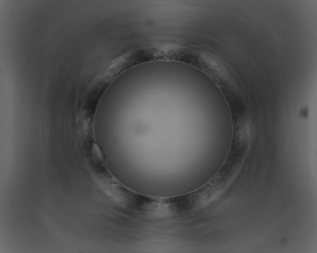 X0000091540276200708241740