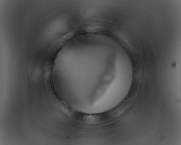 X0000091540277200708241740