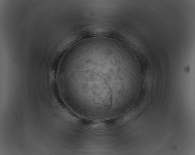 X0000091540278200708241740