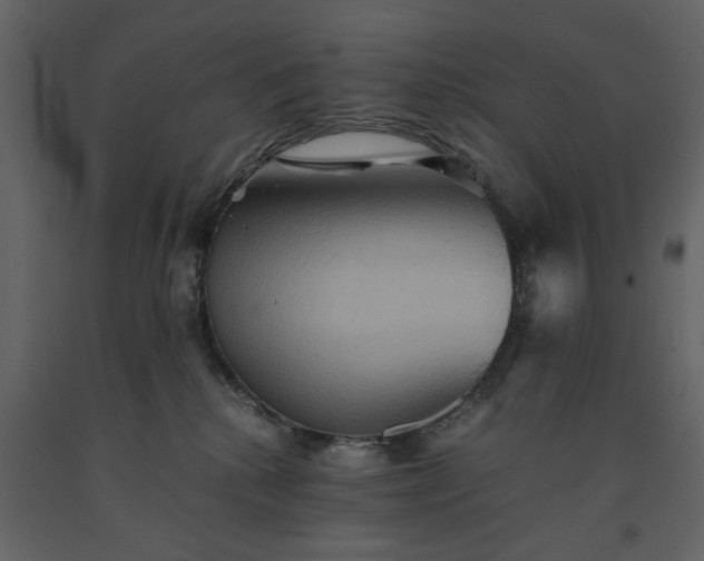 X0000091540280200708241740
