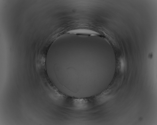X0000091540281200708241740