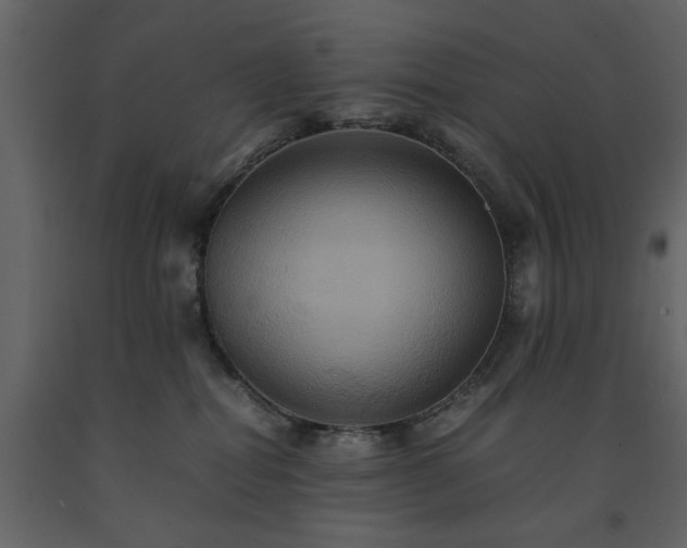 X0000091540282200708241741