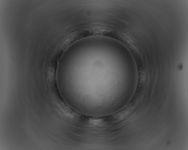 X0000091540283200708241741