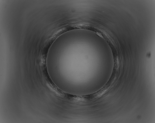 X0000091540284200708241741