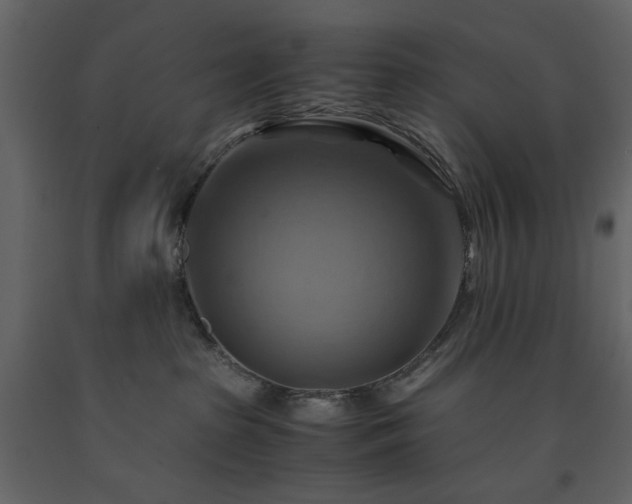 X0000091540285200708241741