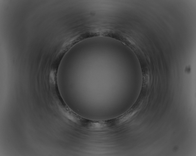 X0000091540286200708241741