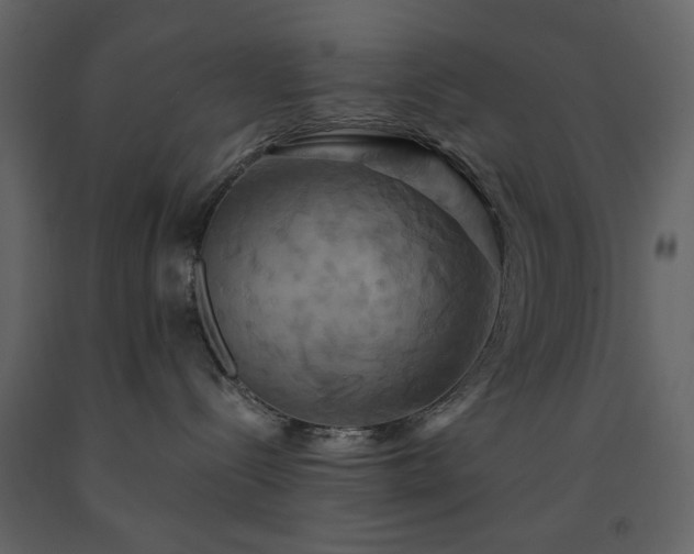 X0000091540288200708241741