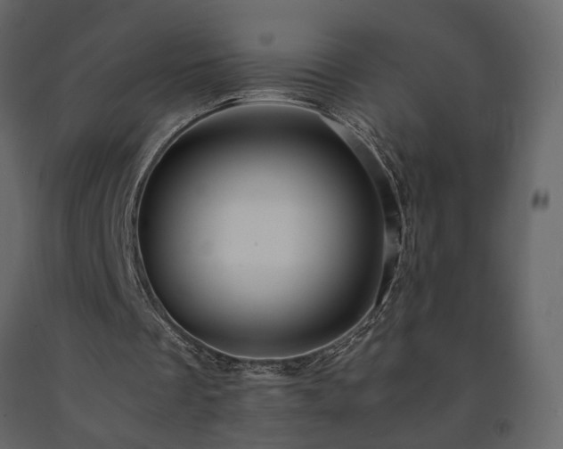 X0000091540289200708241740