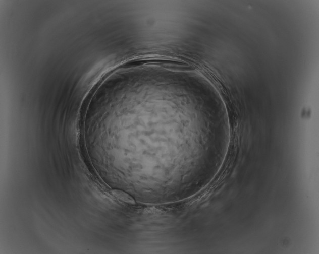 X0000091540290200708241740
